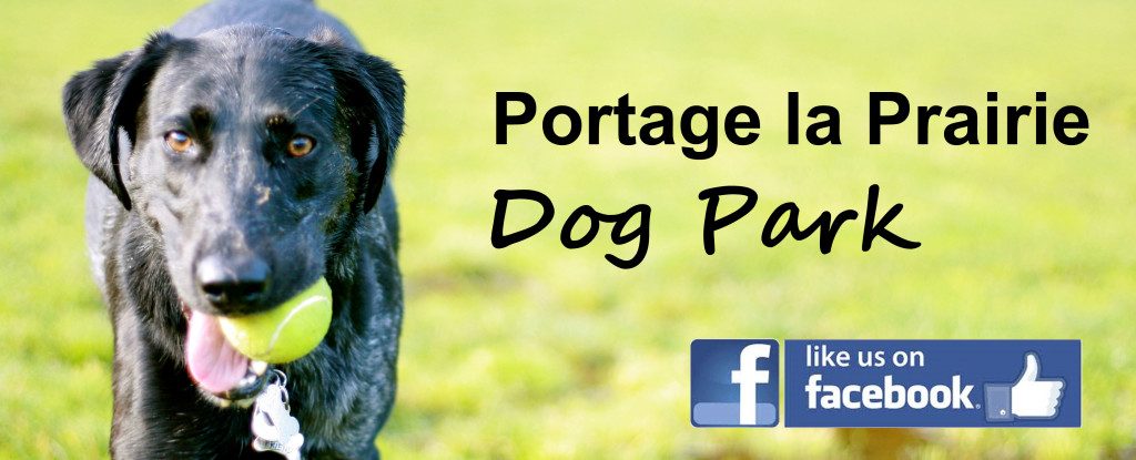 portage la prairie off leash dog park header - dog with a ball and facebook logo