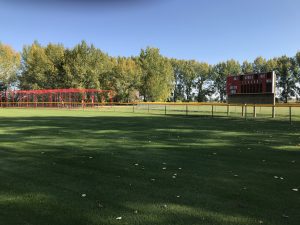 rotary republic park photo baseball diamond