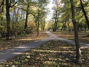 island park walking paths