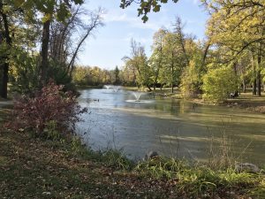 island park pond