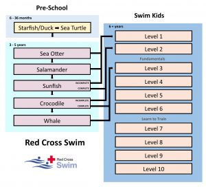 red cross swimming flow chart